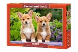 Puzzle 1000 el. Welsh Corgi Puppies C-104659