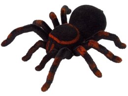 Zdalnie Sterowany Pająk Tarantula Czarny R/C ST