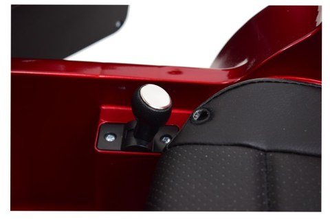 NAJNOWSZY ROADSTER Z AUTOMATYCZNIE OTWIERANYMI DRZWIAMI, FUNKCJA BUJANIA, WERSJA LAKIEROWANA/S2188