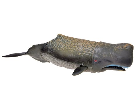 Zwierzęta morskie zestaw figurki 10 szt Manta Waleń Kałamarnica Sum