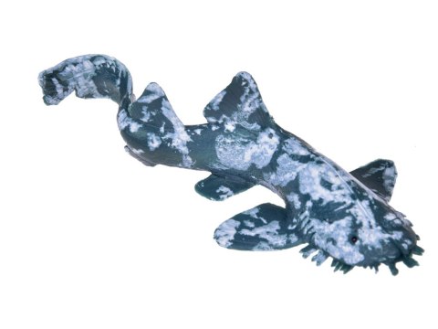 Zwierzęta morskie zestaw figurki 10 szt Manta Waleń Kałamarnica Sum