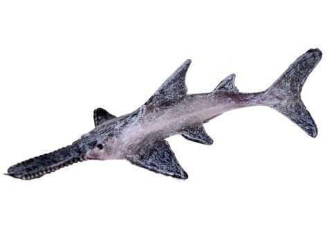 Zwierzęta morskie zestaw figurki 10 szt Rekin Krab Orka Ośmiornica