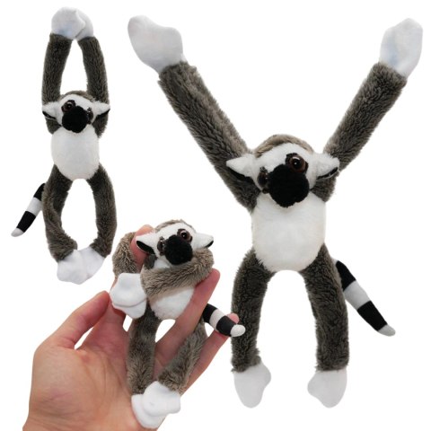 MAGNES - LEMUR