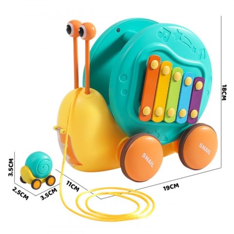 Ślimak do Ciągnięcia 4w1 Cymbałki Zębatki Sensoryczne Wyrzutnia autko