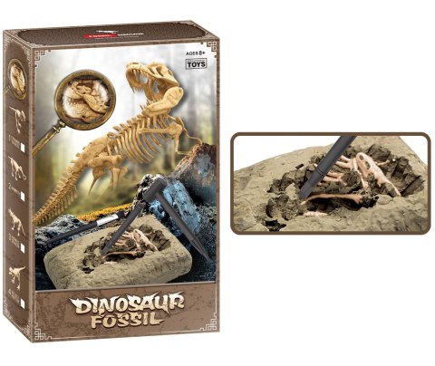 WYKOPALISKA PALEONTOLOG DINOZAUR SZKIELE