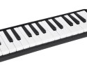 Instrument muzyczny Melodyka Harmonijka klawiszowa etui dwa ustniki