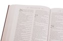 Pismo Święte Starego i Nowego Testamentu Biblia domowa W ETUI PIĘKNA DUŻA