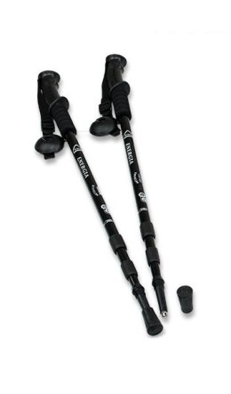 Kije do nordic walking 2748