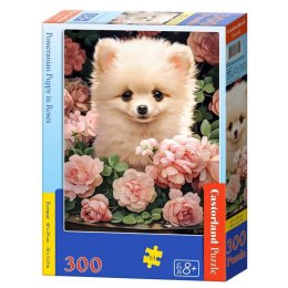 Puzzle 300-elementów Pomeranian Puppy in Roses