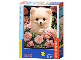 Puzzle 300-elementów Pomeranian Puppy in Roses