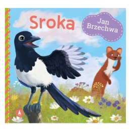 JAN BRZECHWA - SROKA