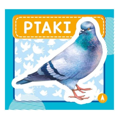 PTAKI