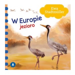 TW W EUROPIE. JEZIORO