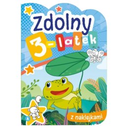 ZDOLNY 3-LATEK