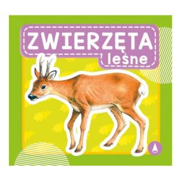 ZWIERZĘTA LEŚNE