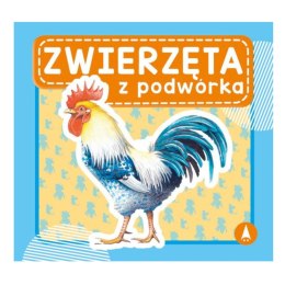 ZWIERZĘTA Z PODWÓRKA