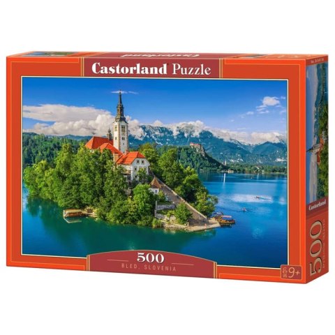 500-piece puzzle