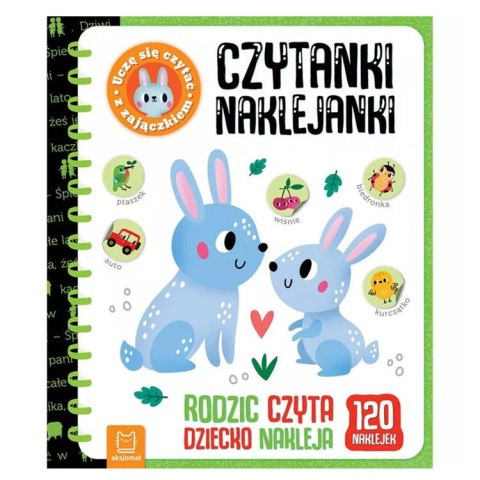 Książeczka do nauki czytania Czytanki-naklejanki Uczę się czytać z