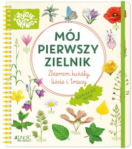 Mój pierwszy zielnik.