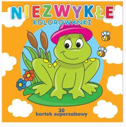 Niezwykłe kolorowanki (30 kartek superzabawy)