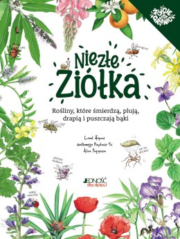 Niezłe ziółka