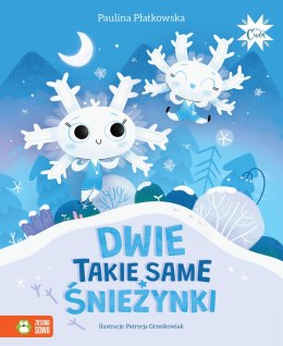 Dwie takie same śnieżynki