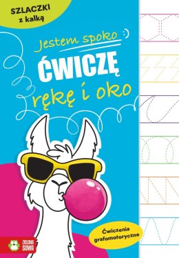 Jestem spoko. Ćwiczę rękę i oko. Szlaczki