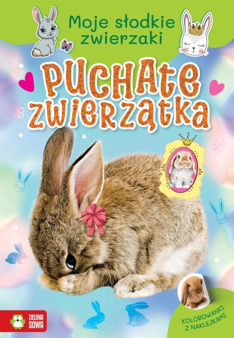 Moje słodkie zwierzaki. Puchate zwierzątka