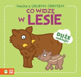 Nauka z grubym obrysem. Co widzę w lesie?