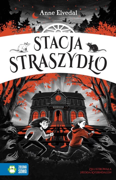 Stacja Straszydło (The Ghost Station)