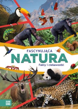 Fascynująca natura