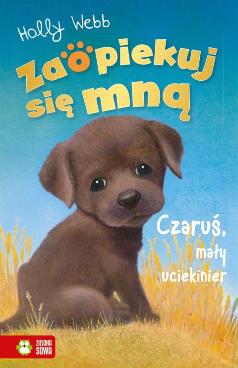 ZSM znł. W3. Czaruś, mały uciekinier