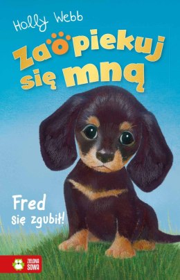 ZSM znł. W3. Fred się zgubił