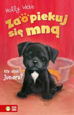 ZSM znł. W3. Kto utuli Juniora?