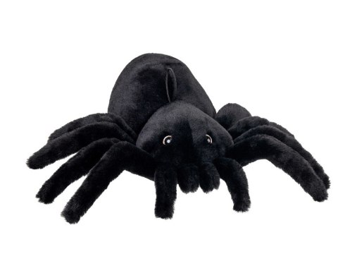 Maskotka pluszowy czarny pająk Tarantula 15cm 14112 Maskotka pluszowy czarny pająk Tarantula 15cm 14112