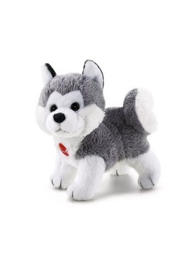 TRUDI SWEET COLLECTION HUSKY