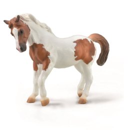 COLLECTA CHINCOTEAGUE PONY MAŚCI KASZTANOWATEJ PINTO