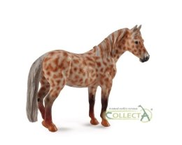 COLLECTA KLACZ BRITISH SPOTTED PONY MAŚCI KASZTAN