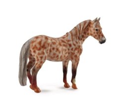 COLLECTA KLACZ BRITISH SPOTTED PONY MAŚCI KASZTAN