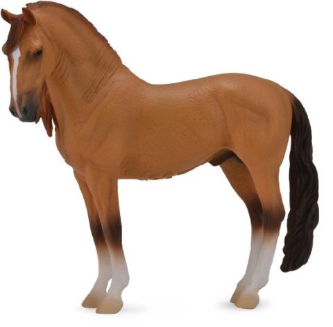 COLLECTA KOŃ CAMPOLINA STALLION RED DUN