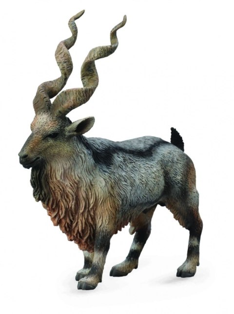 COLLECTA KOZA ŚRUBOROGA MARKHOR