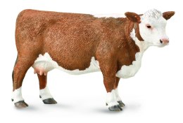 COLLECTA KROWA HEREFORD