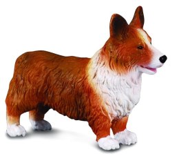 COLLECTA PIES IRLANDZKI CORGI