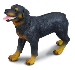 COLLECTA PIES RASY ROTTWEILER