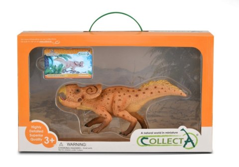 COLLECTA PROTOCERATOPS W OPAKOWANIU (DELUXE)