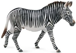 COLLECTA ZEBRA GREVY