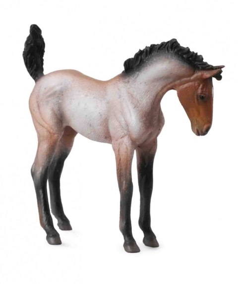 COLLECTA ŹREBIĘ MUSTANG MAŚCI GNIADEJ