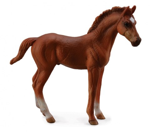 COLLECTA ŹREBIĘ STOJĄCE THOROUGHBRED CHESNUT