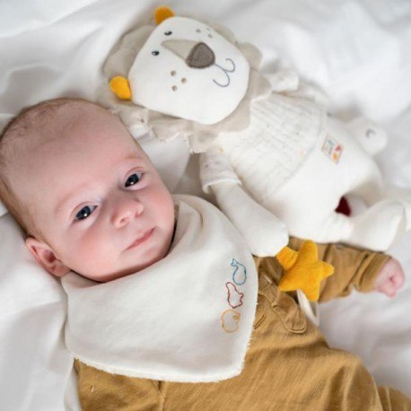 Maskotka z grzechotką, lew, z kolekcji: natura