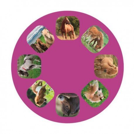 Latarka, mini projektor, konie